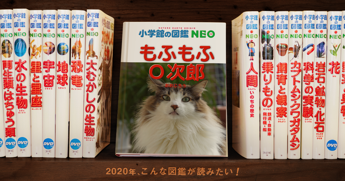 f:id:kazuhiro0214:20200112163103p:plain