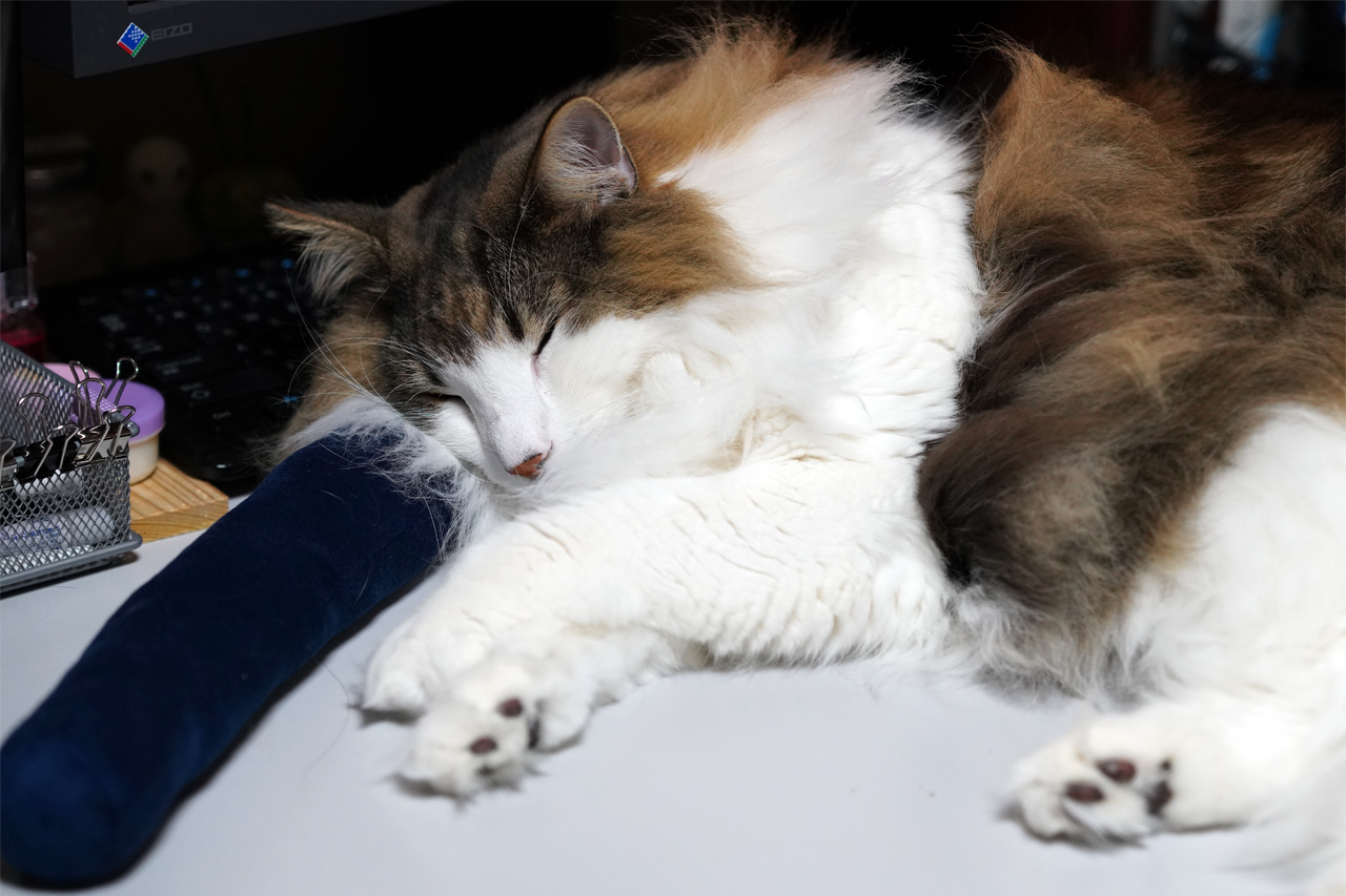 f:id:kazuhiro0214:20200126130128p:plain