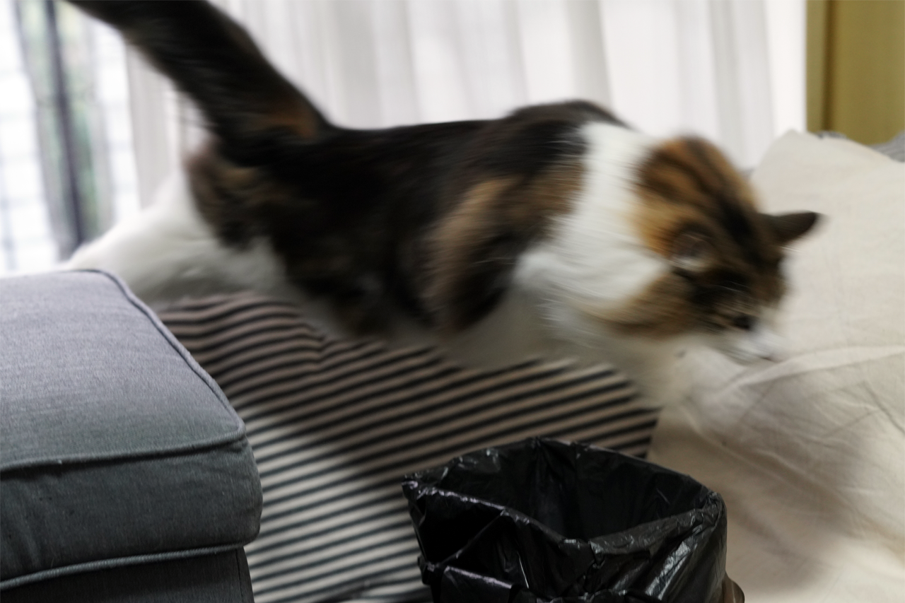 f:id:kazuhiro0214:20200201000428p:plain