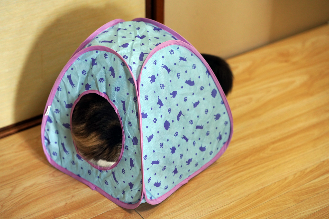 f:id:kazuhiro0214:20200307002618p:plain