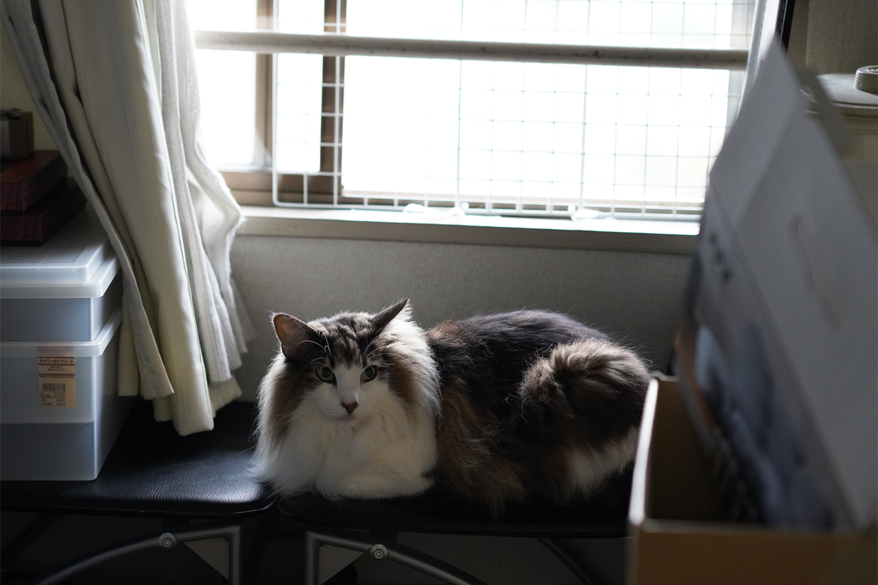 f:id:kazuhiro0214:20200310223120p:plain