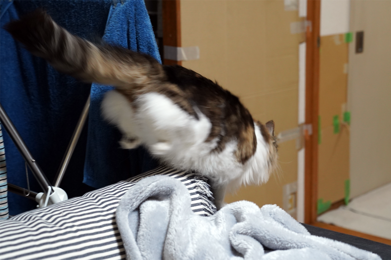 f:id:kazuhiro0214:20200320222722p:plain
