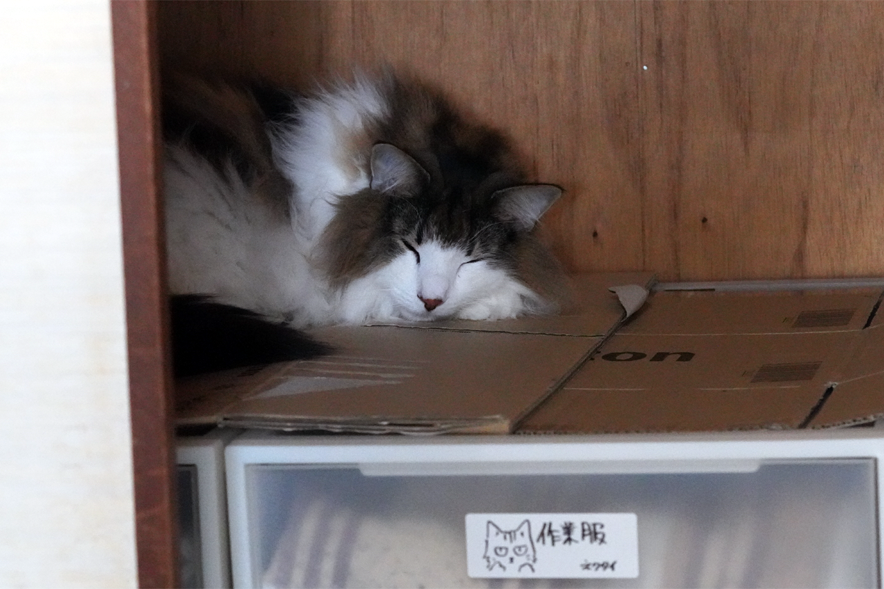 f:id:kazuhiro0214:20200404140823p:plain