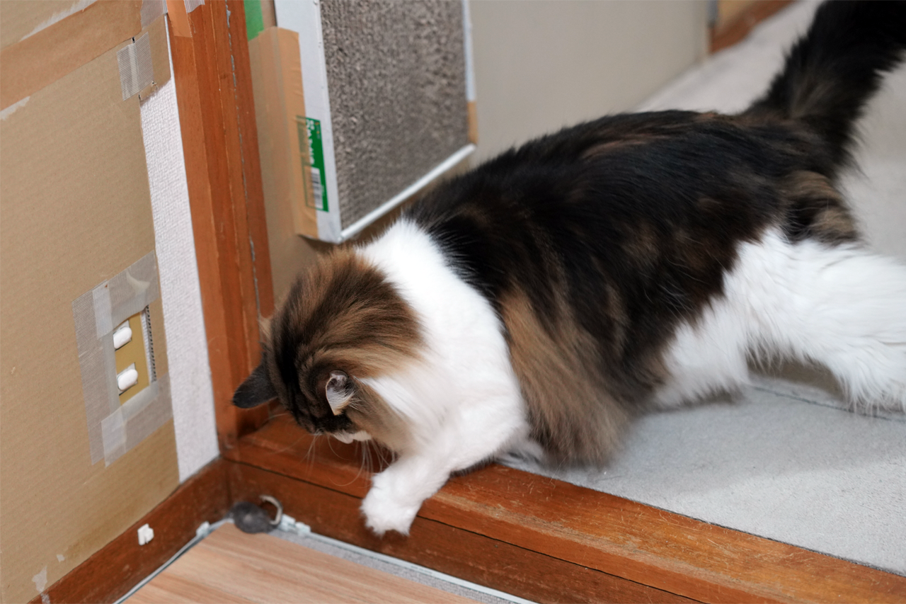 f:id:kazuhiro0214:20200415220230p:plain f:id:kazuhiro0214:20200415220230p:plain