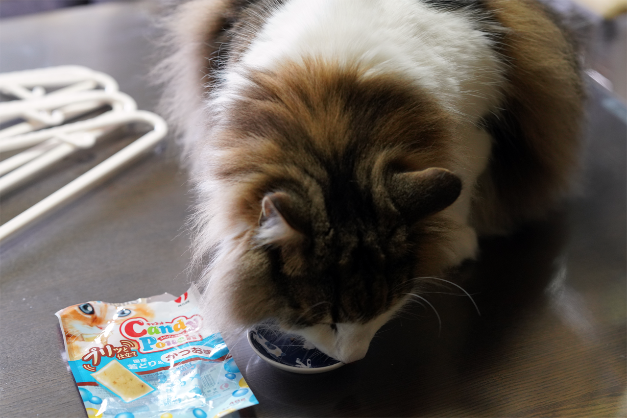 f:id:kazuhiro0214:20200427232058p:plain