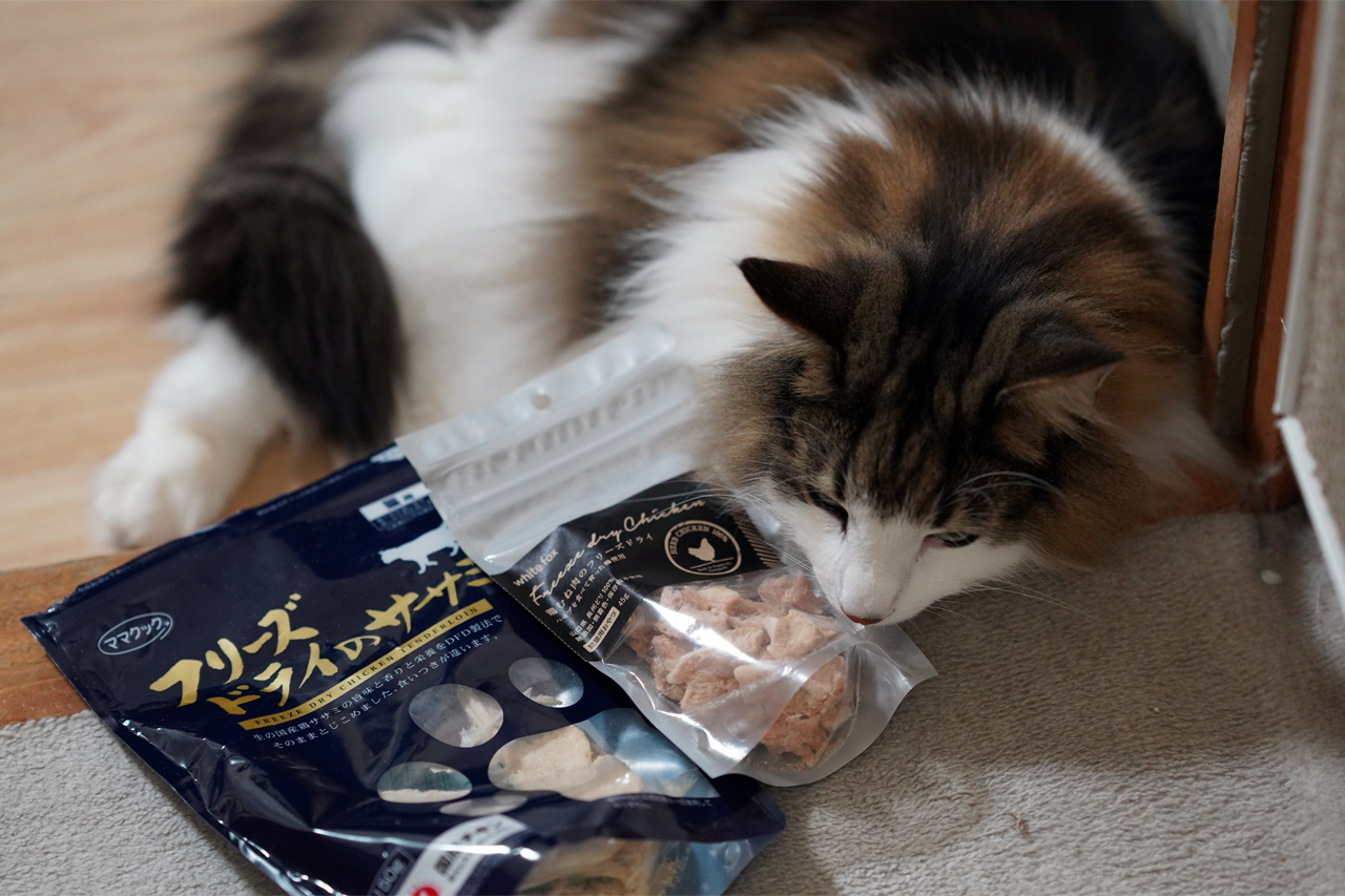 f:id:kazuhiro0214:20200427232211p:plain