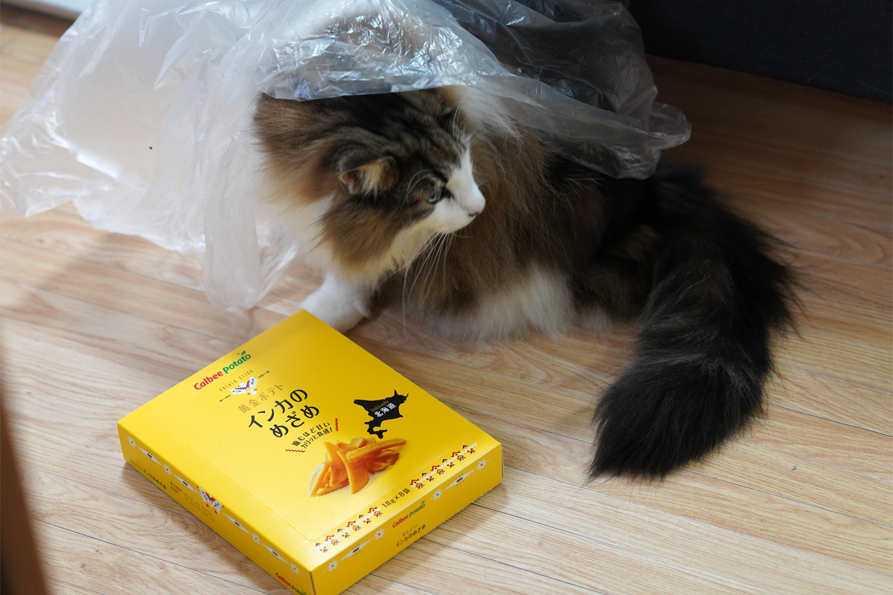f:id:kazuhiro0214:20200501230104p:plain