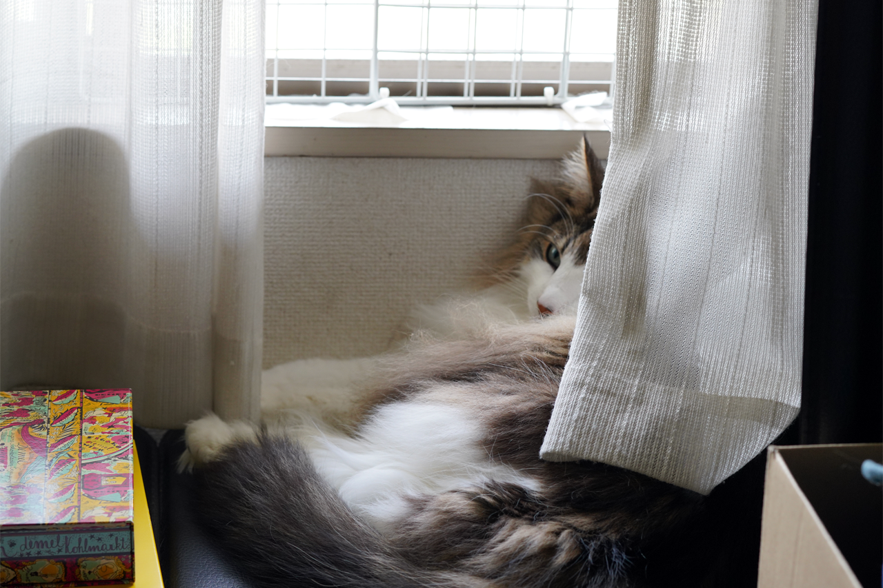 f:id:kazuhiro0214:20200515234541p:plain
