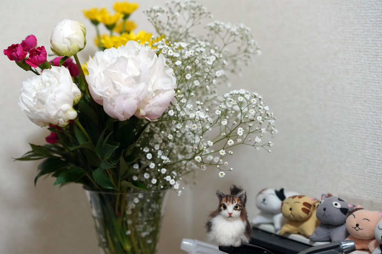 f:id:kazuhiro0214:20200523231335p:plain f:id:kazuhiro0214:20200523231335p:plain