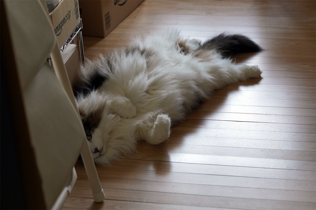 f:id:kazuhiro0214:20200614003900p:plain