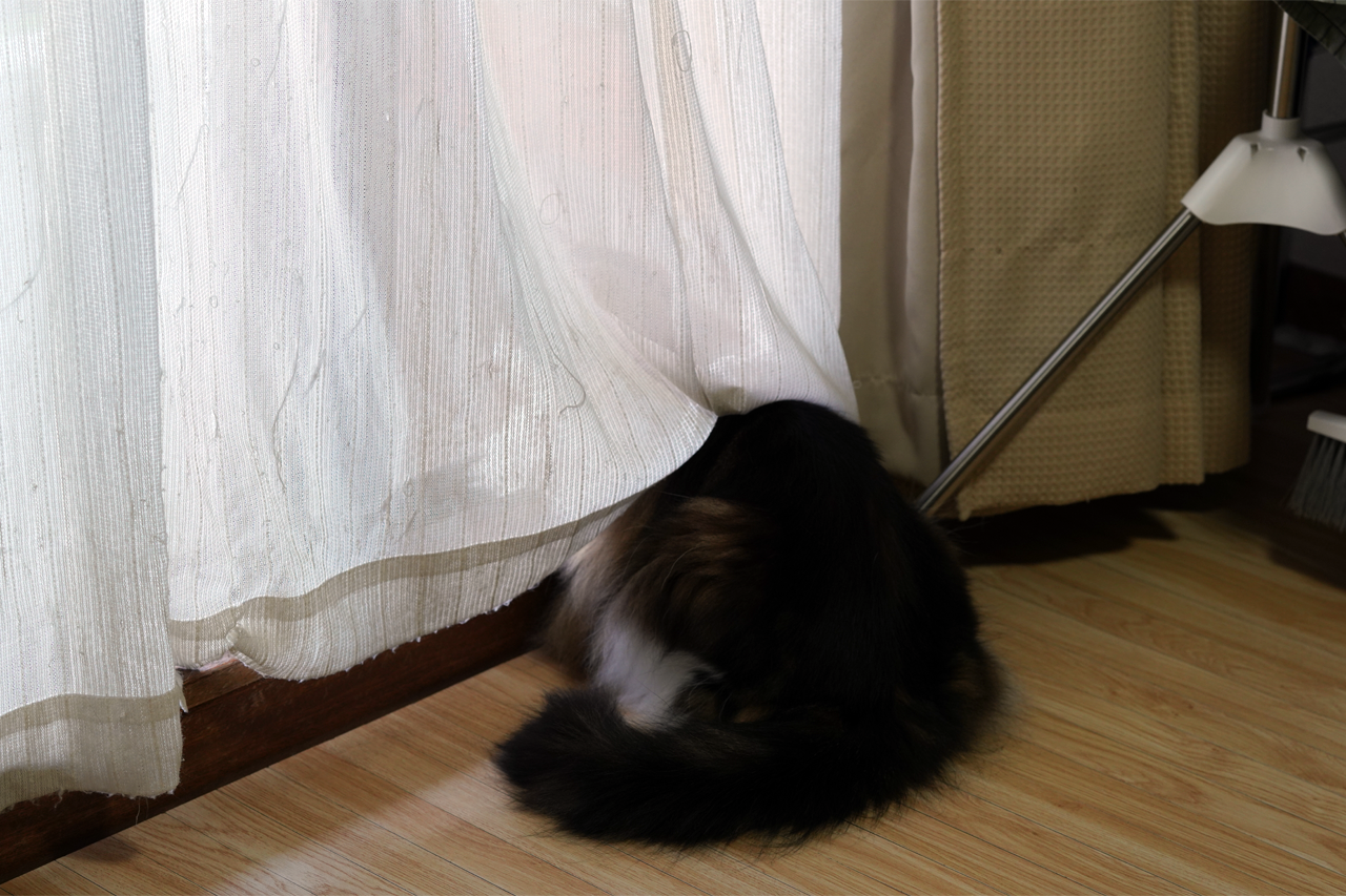 f:id:kazuhiro0214:20200802221350p:plain