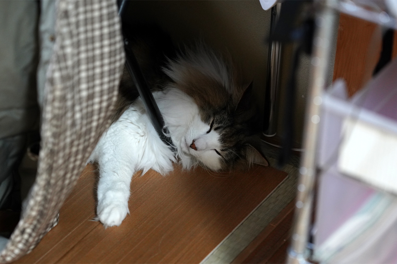 f:id:kazuhiro0214:20200811232338p:plain