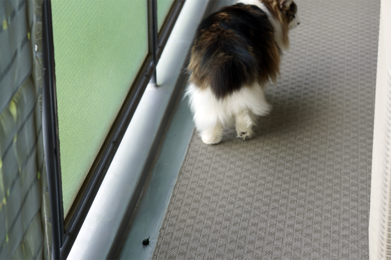 f:id:kazuhiro0214:20200812224917p:plain