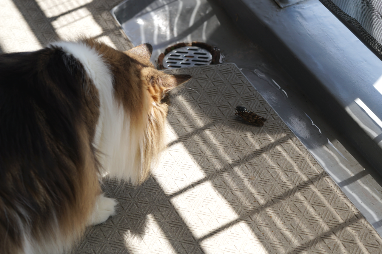 f:id:kazuhiro0214:20200812225027p:plain