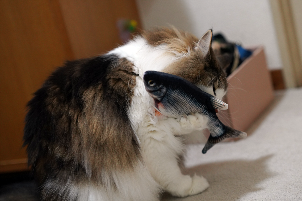 f:id:kazuhiro0214:20200816225712p:plain