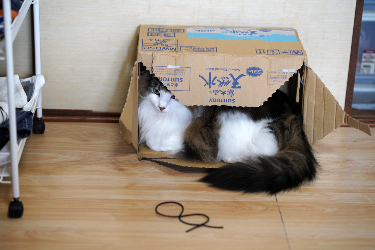 f:id:kazuhiro0214:20200826224210p:plain