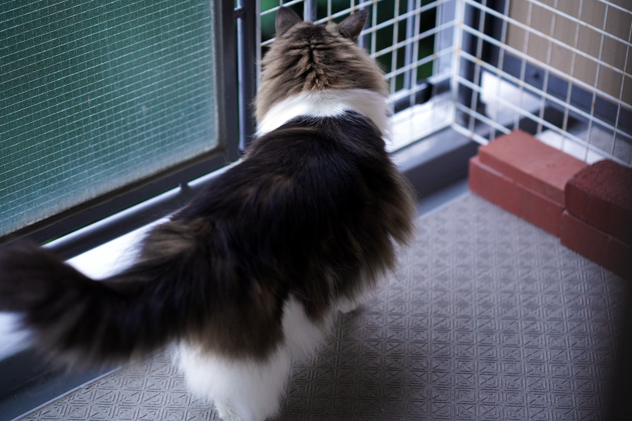 f:id:kazuhiro0214:20200901221546p:plain