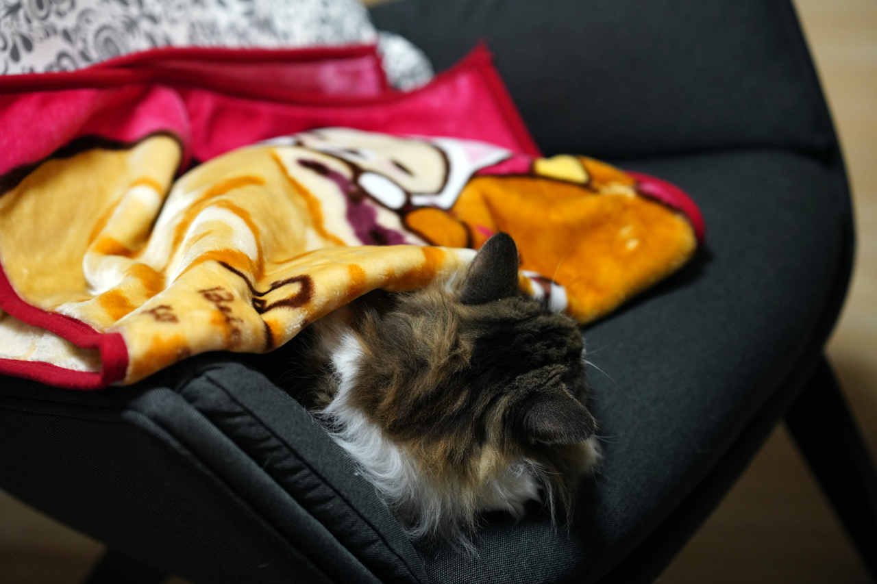 f:id:kazuhiro0214:20201108214129p:plain