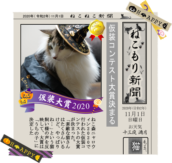f:id:kazuhiro0214:20201108214321p:plain