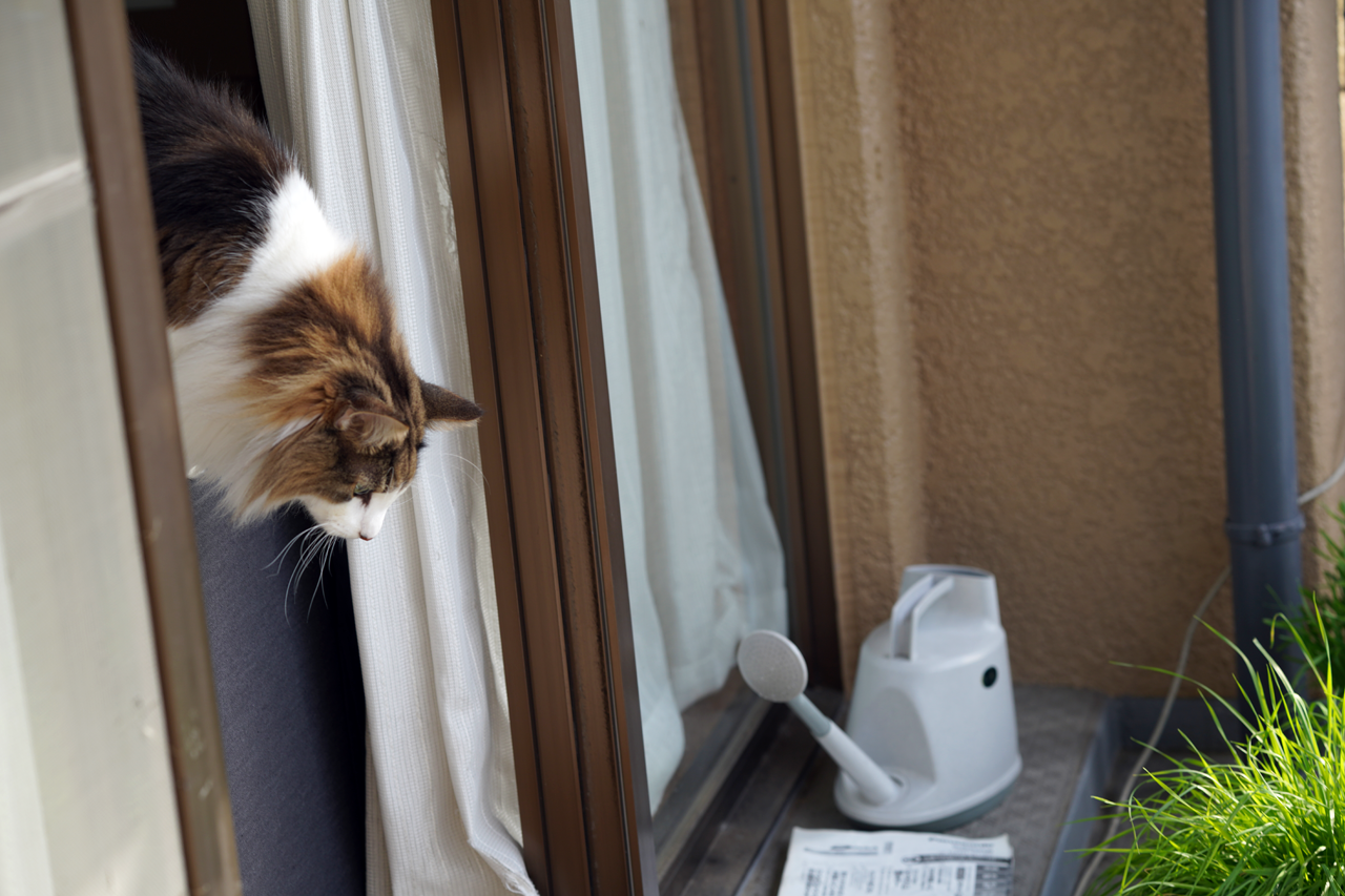 f:id:kazuhiro0214:20201110230148p:plain