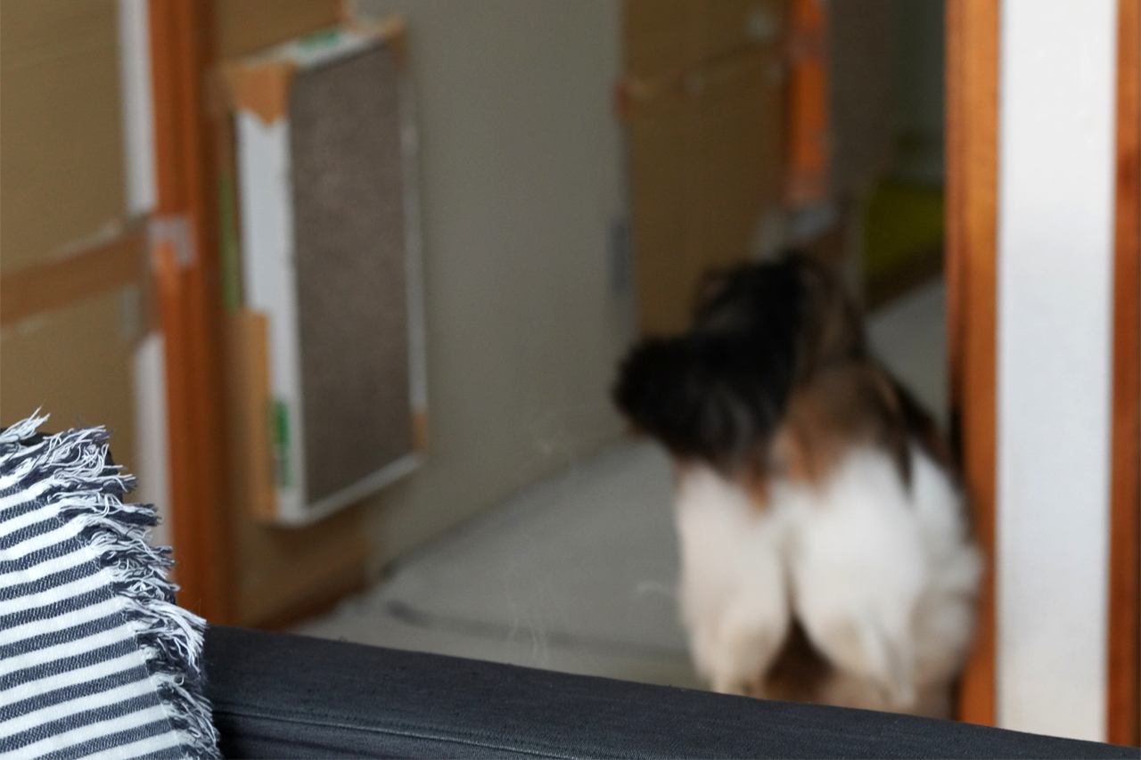 f:id:kazuhiro0214:20201125232256p:plain