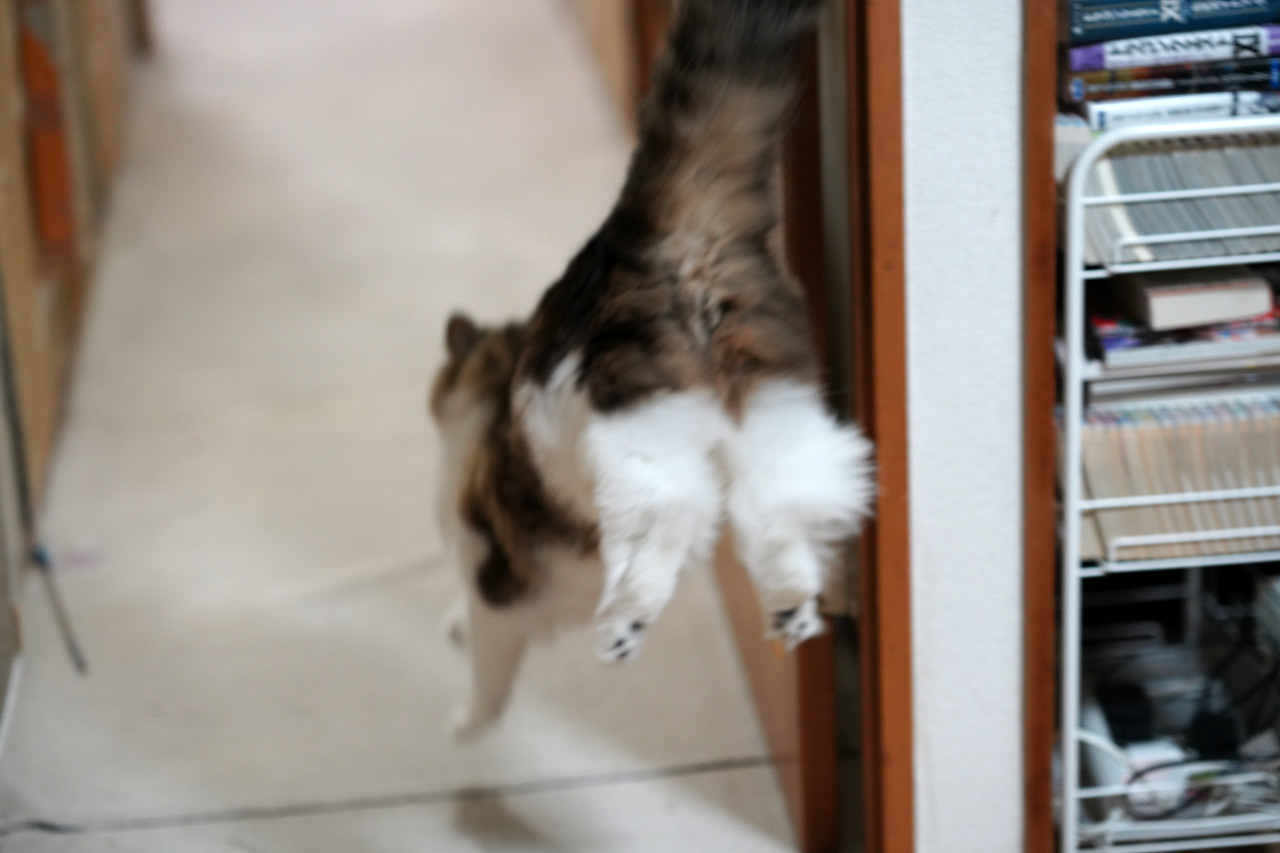 f:id:kazuhiro0214:20201201225721p:plain