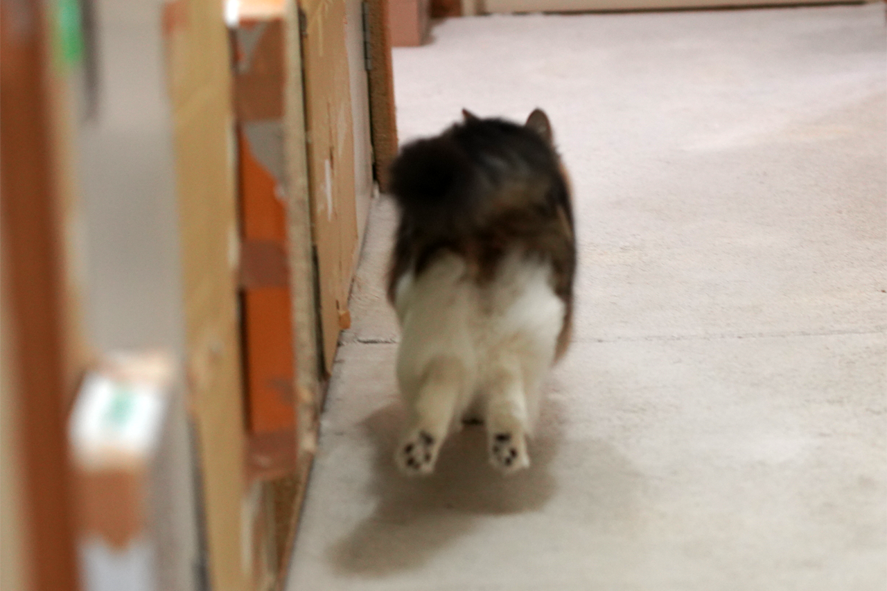 f:id:kazuhiro0214:20201201225804p:plain