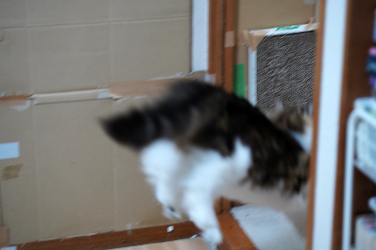 f:id:kazuhiro0214:20201201230019p:plain