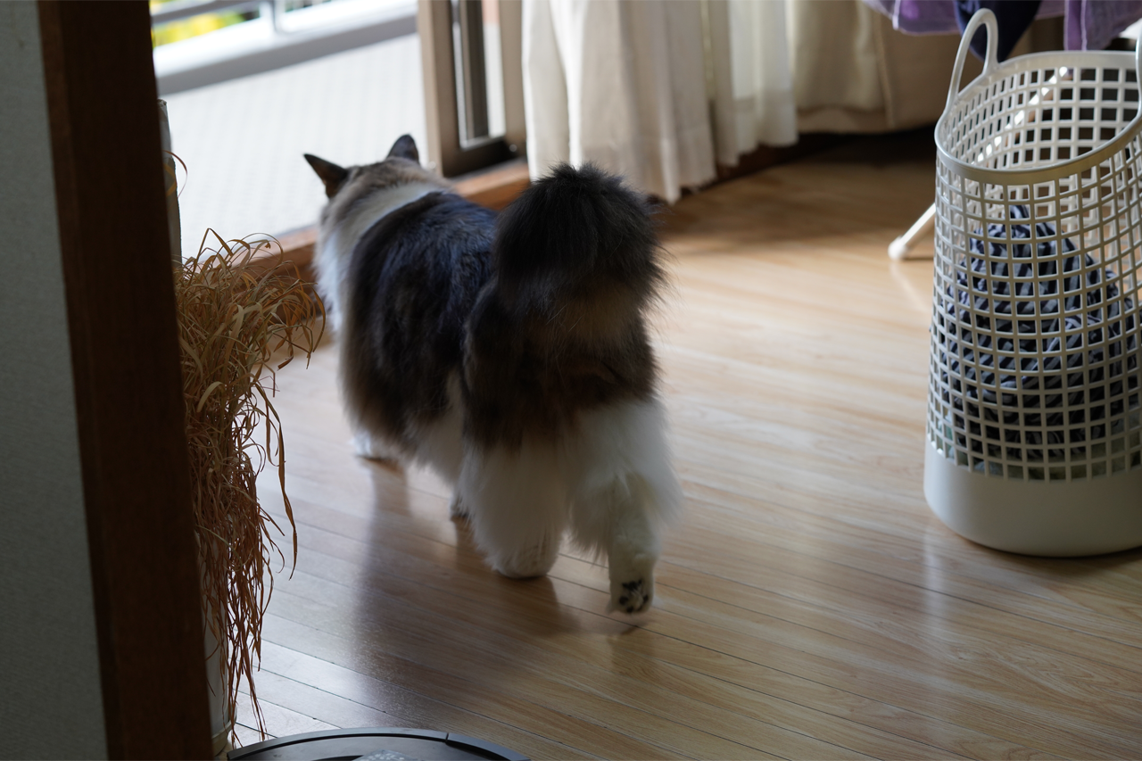 f:id:kazuhiro0214:20201206001059p:plain