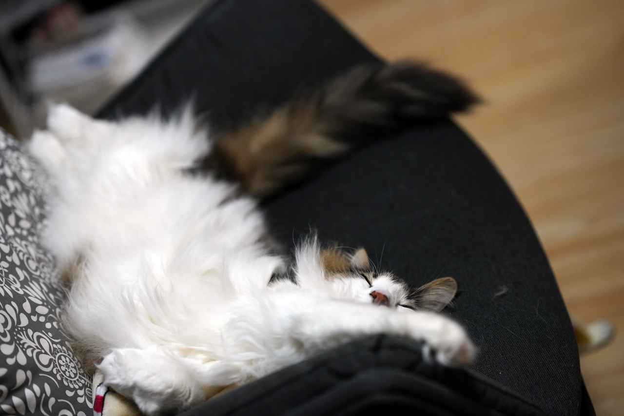 f:id:kazuhiro0214:20201213204749p:plain