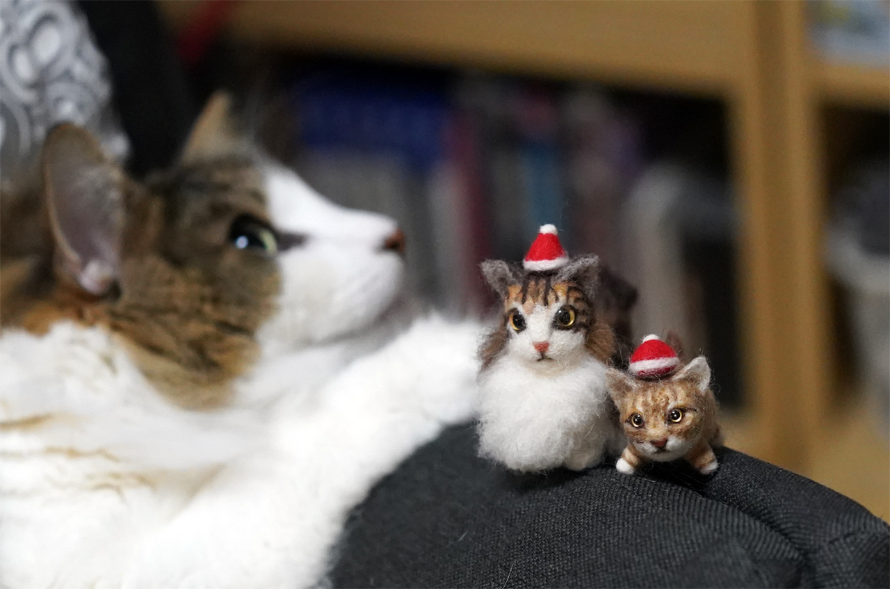 f:id:kazuhiro0214:20201213205007p:plain