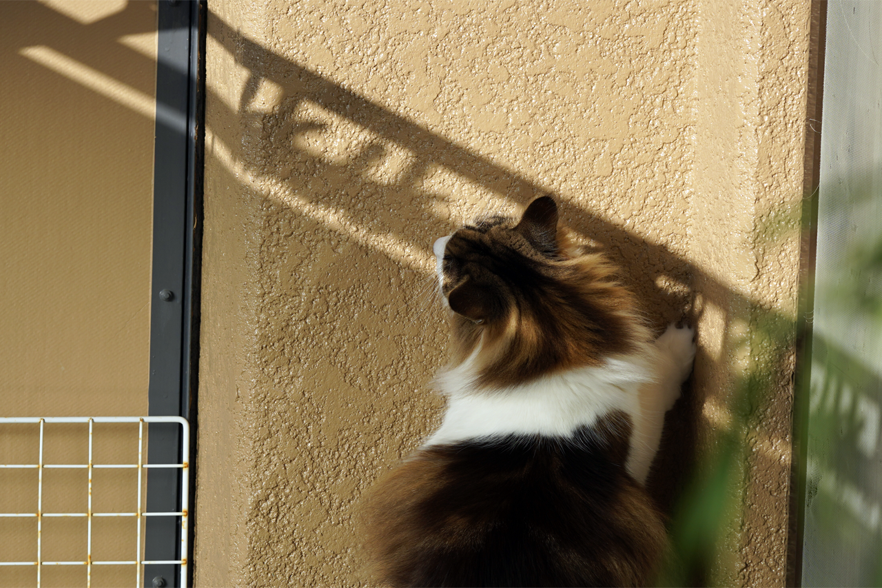 f:id:kazuhiro0214:20201217230130p:plain