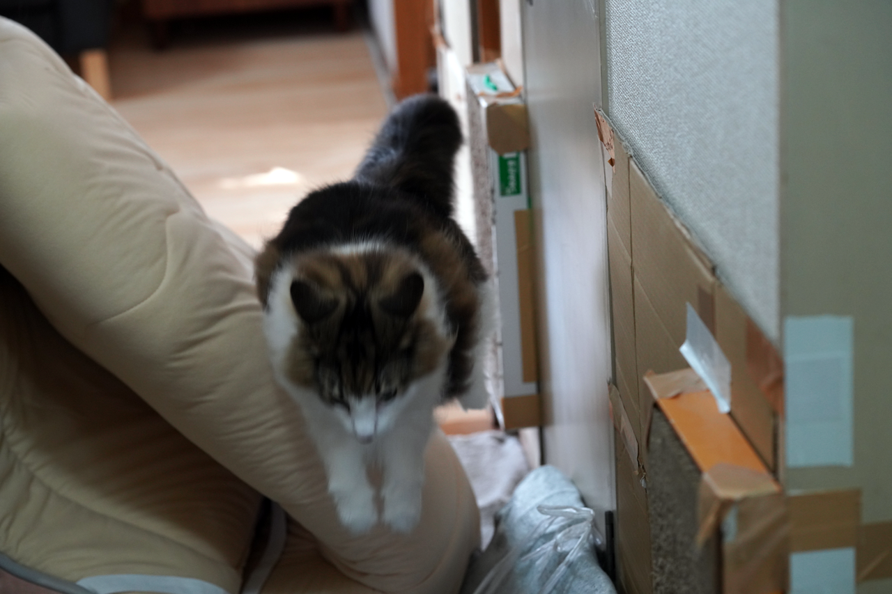 f:id:kazuhiro0214:20201221224141p:plain