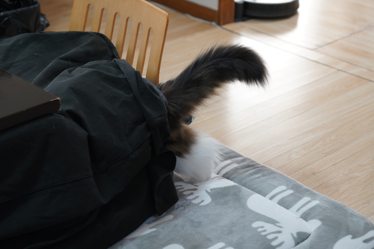 f:id:kazuhiro0214:20201221225131p:plain