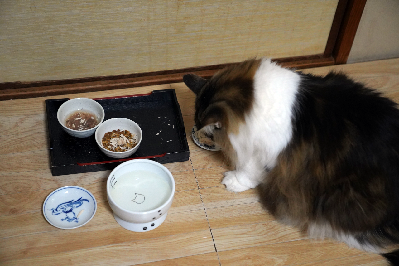 f:id:kazuhiro0214:20201225231604p:plain