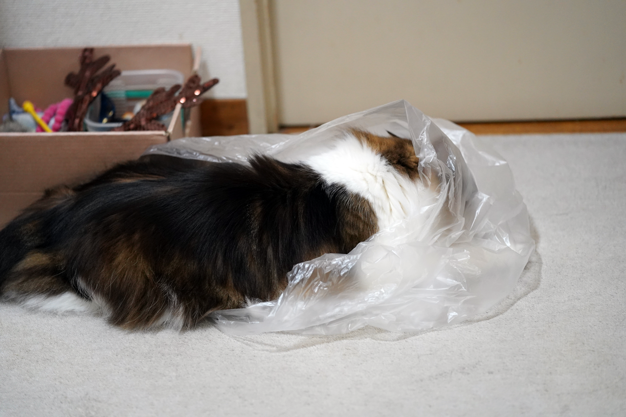f:id:kazuhiro0214:20201227234033p:plain