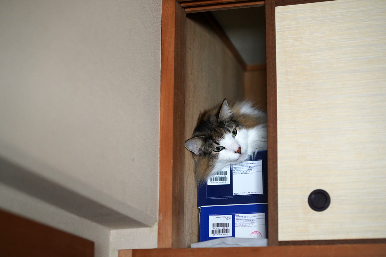 f:id:kazuhiro0214:20210114231445p:plain