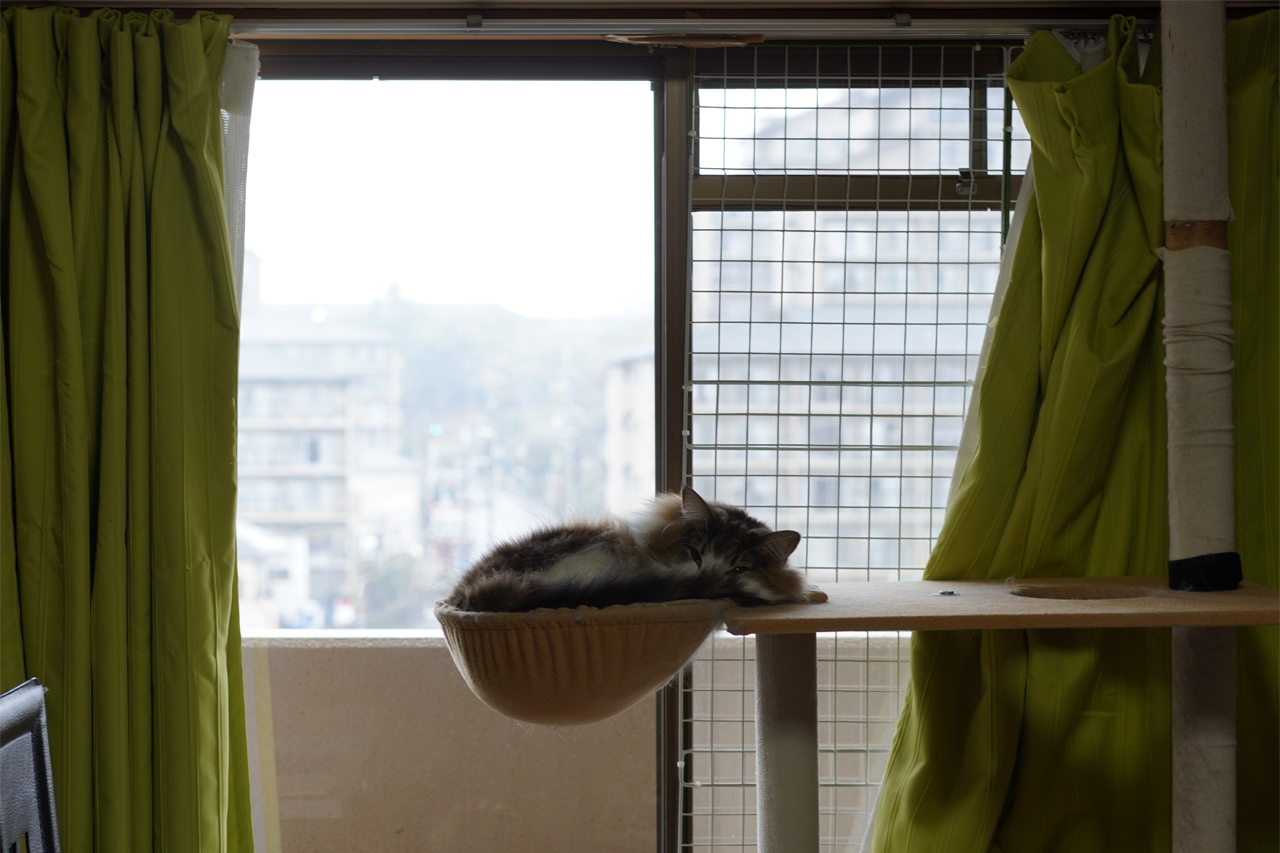 f:id:kazuhiro0214:20210116235104p:plain