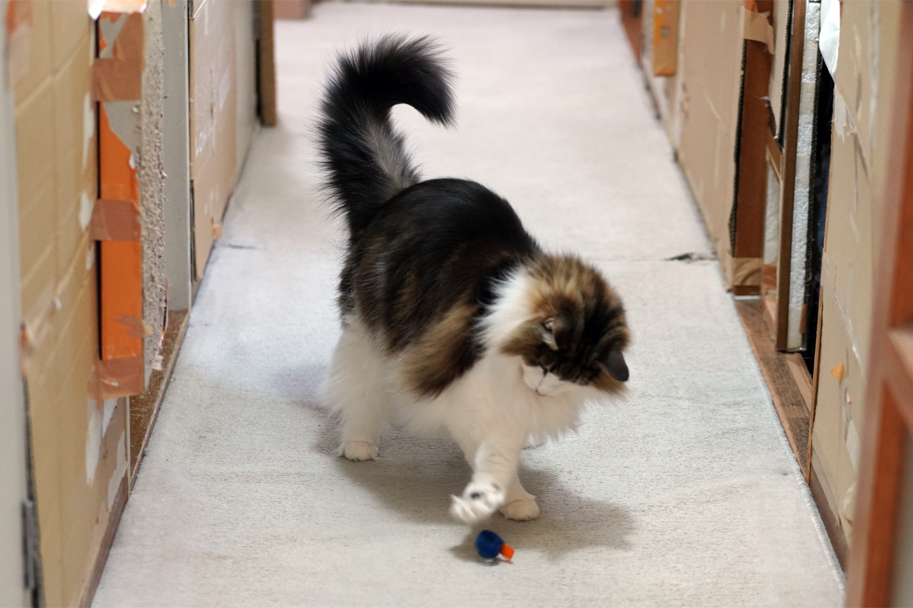 f:id:kazuhiro0214:20210118231530p:plain