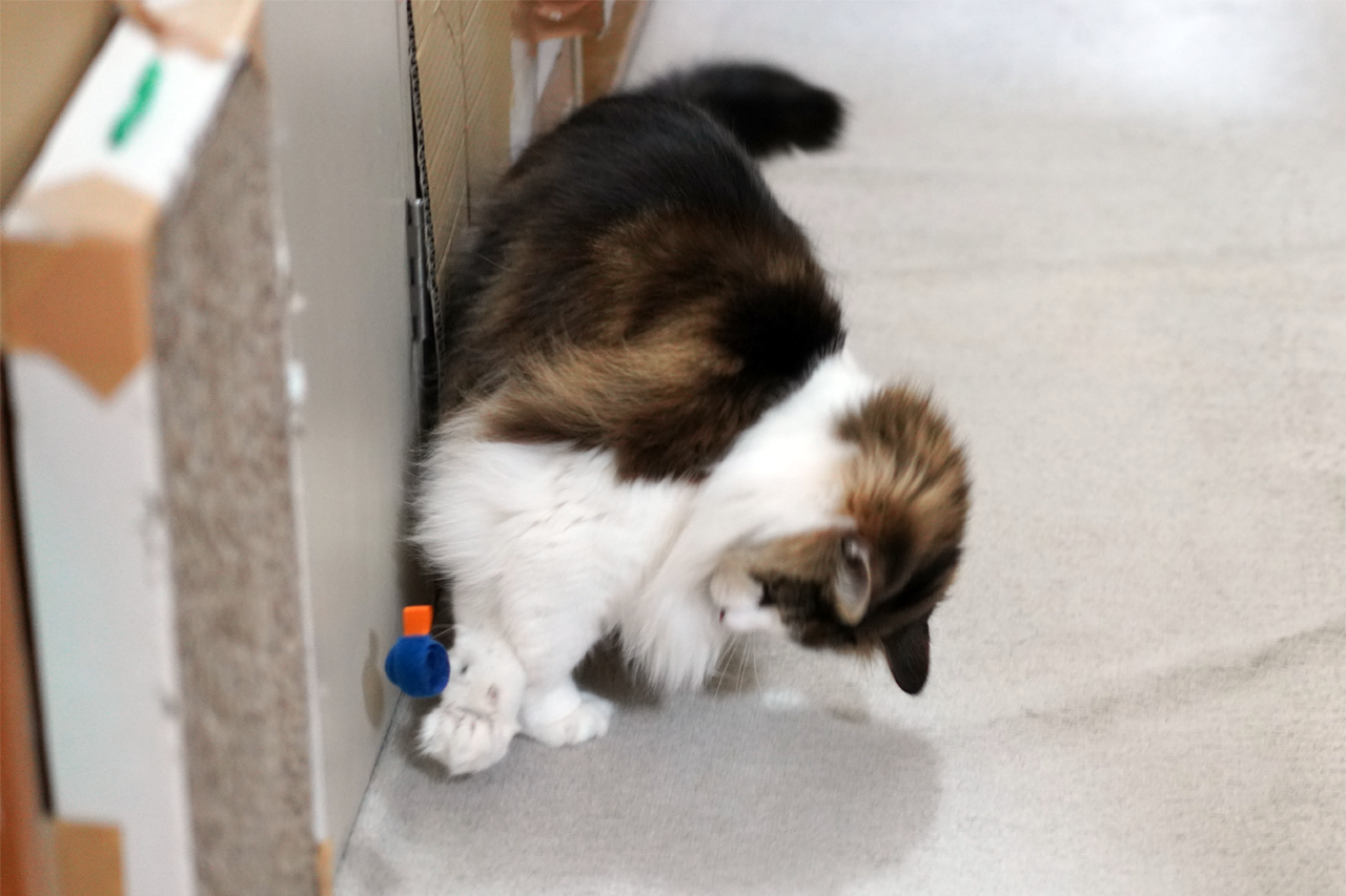 f:id:kazuhiro0214:20210118231552p:plain