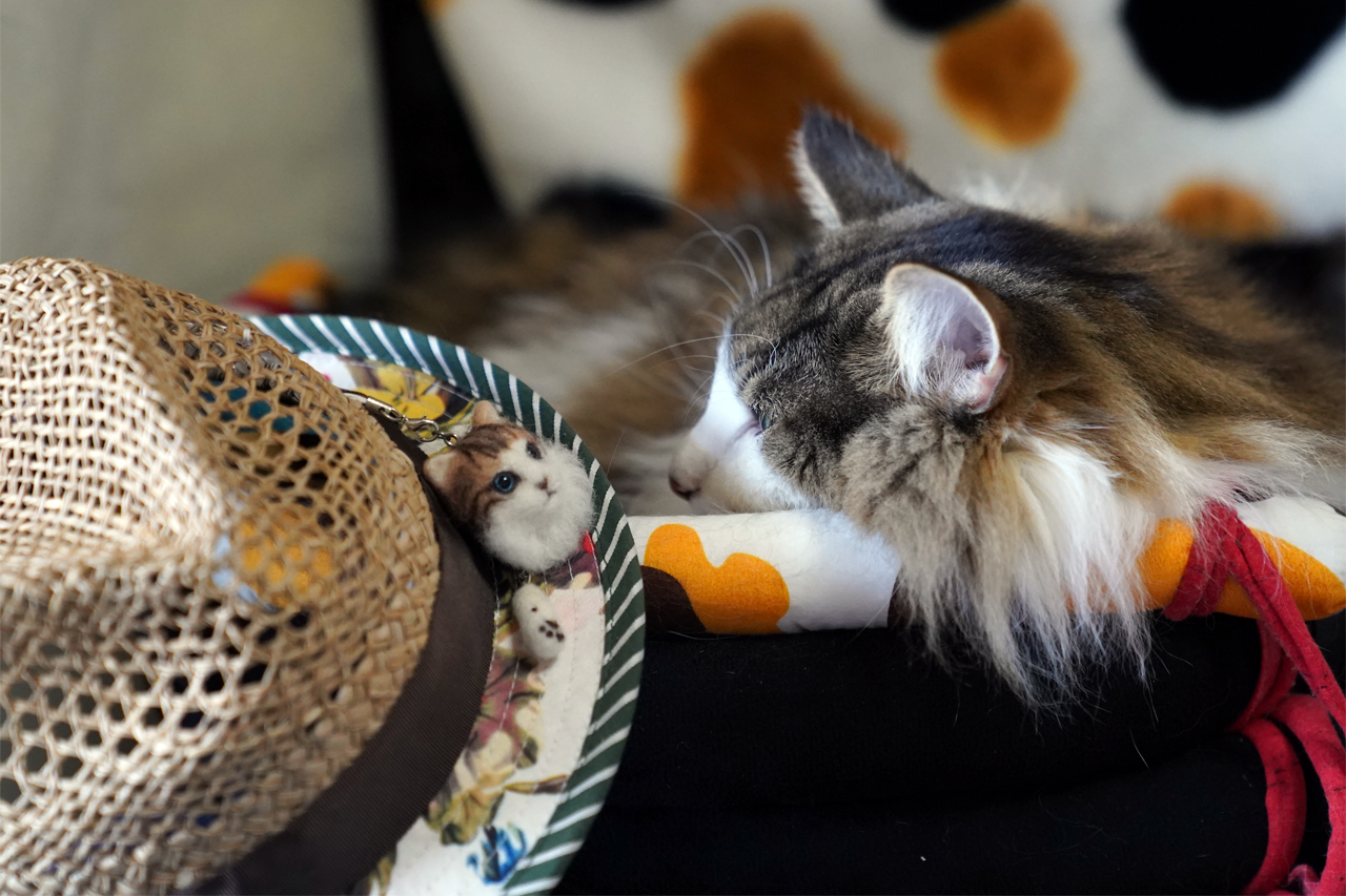 f:id:kazuhiro0214:20210118232058p:plain