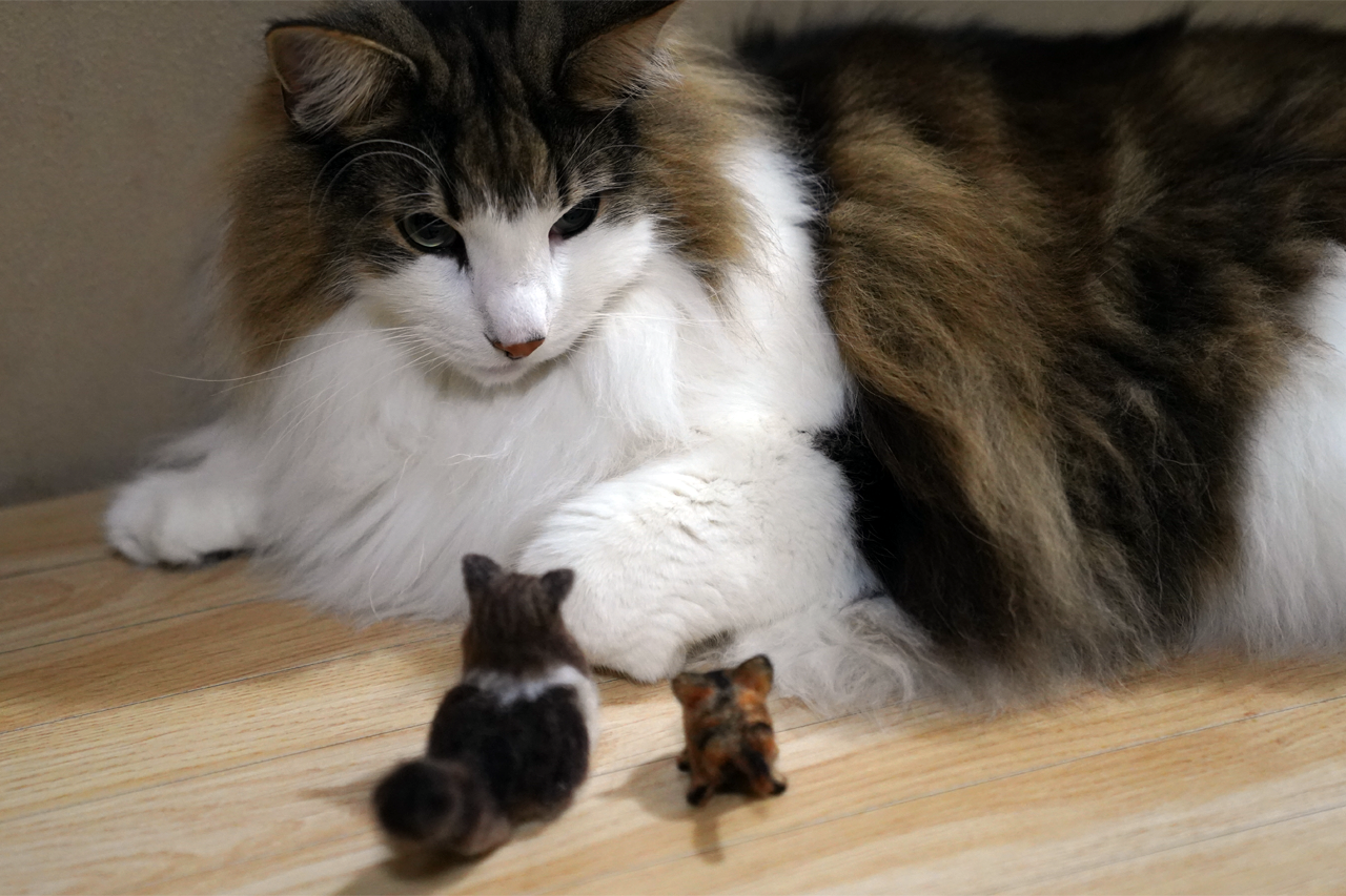 f:id:kazuhiro0214:20210122232512p:plain