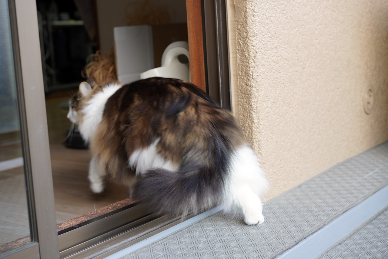 f:id:kazuhiro0214:20210131001601p:plain