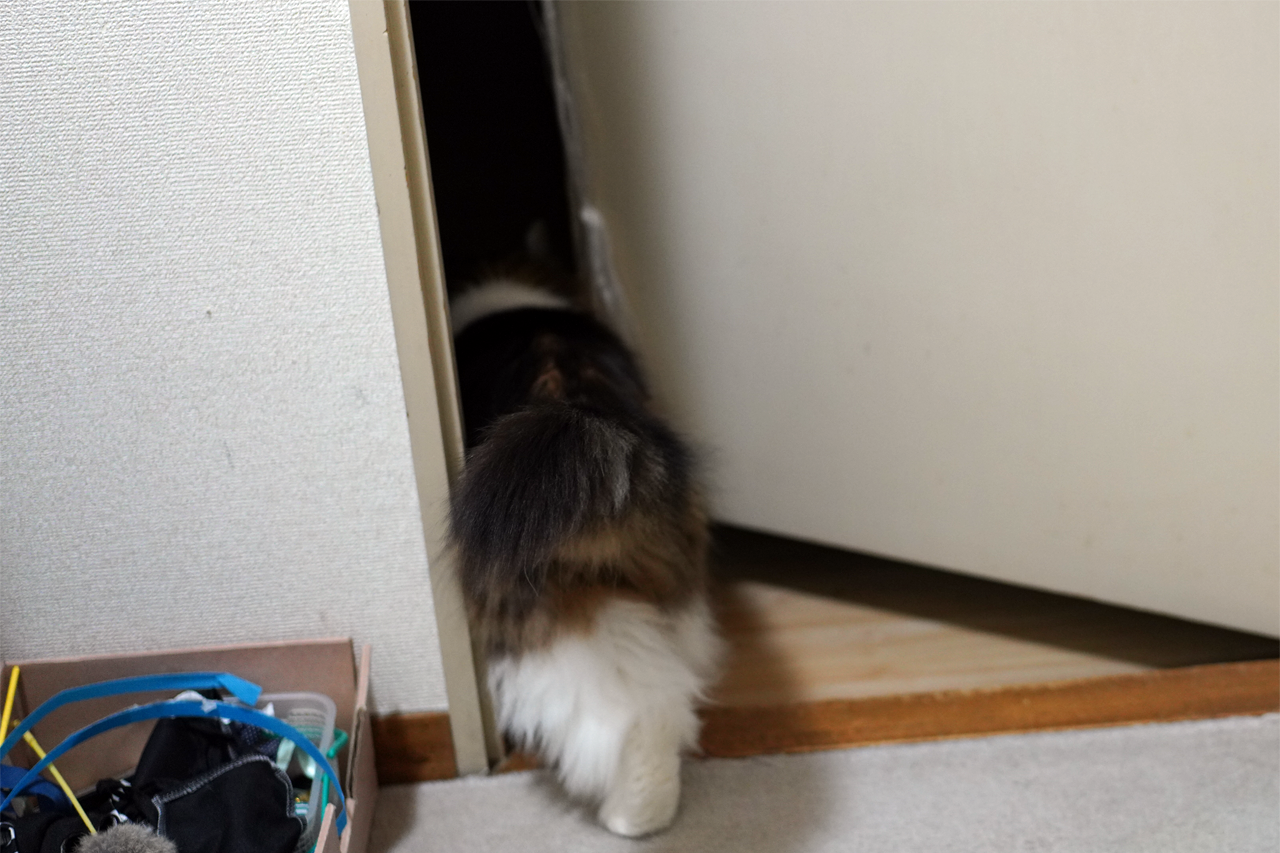 f:id:kazuhiro0214:20210205232555p:plain