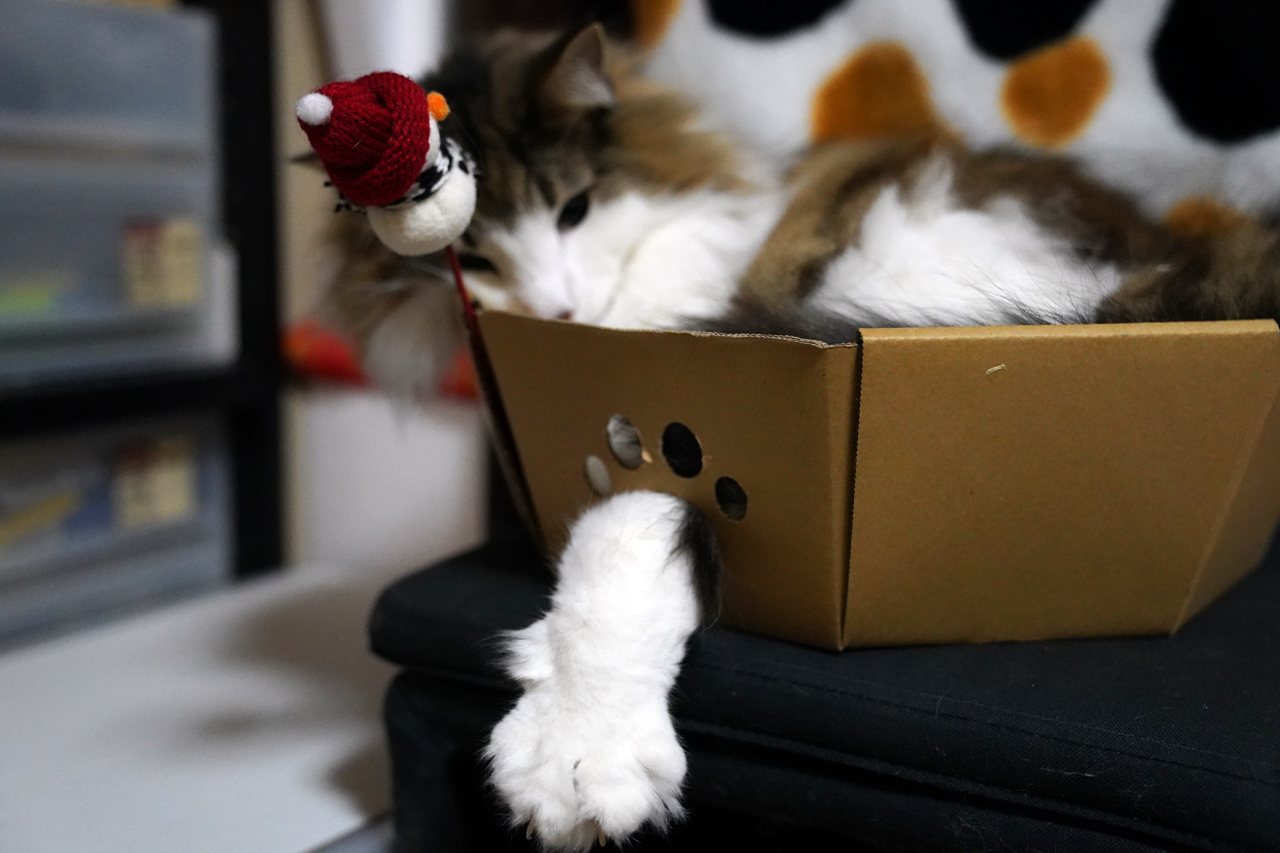f:id:kazuhiro0214:20210205232742p:plain
