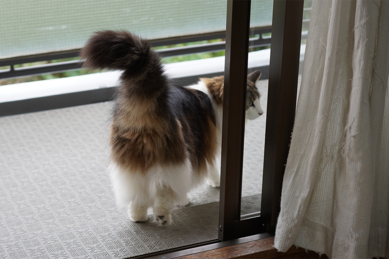 f:id:kazuhiro0214:20210221225440p:plain