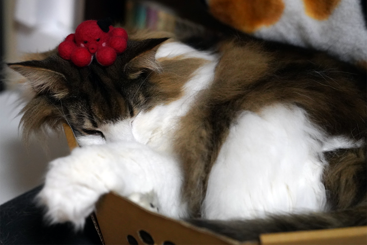 f:id:kazuhiro0214:20210225215818p:plain