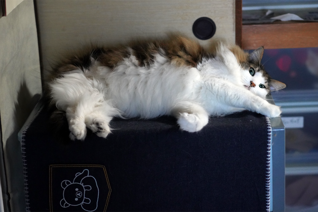 f:id:kazuhiro0214:20210305230252p:plain