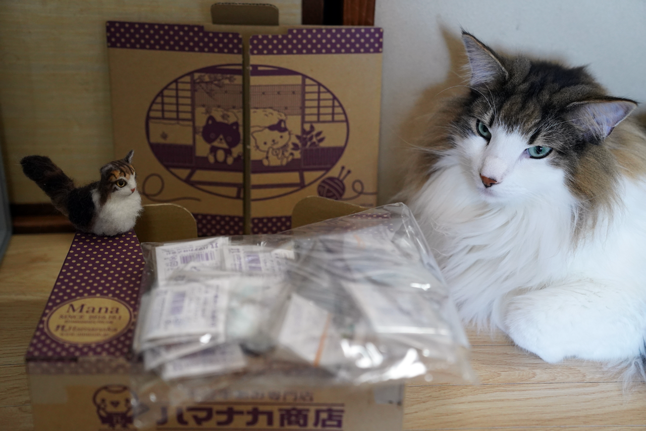 f:id:kazuhiro0214:20210313233602p:plain