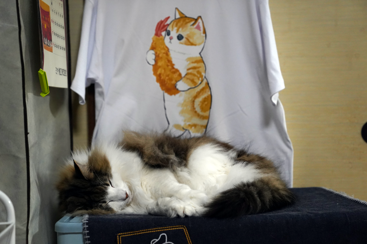 f:id:kazuhiro0214:20210313233832p:plain